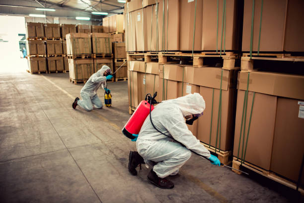 Best Pest Control Near Me  in Kensington, MD