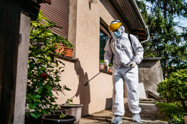Best Best Pest Control Companies  in Kensington, MD
