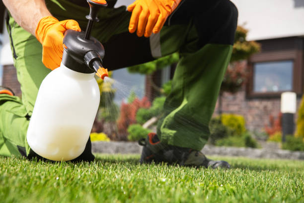 Best Rat Extermination Near Me  in Kensington, MD