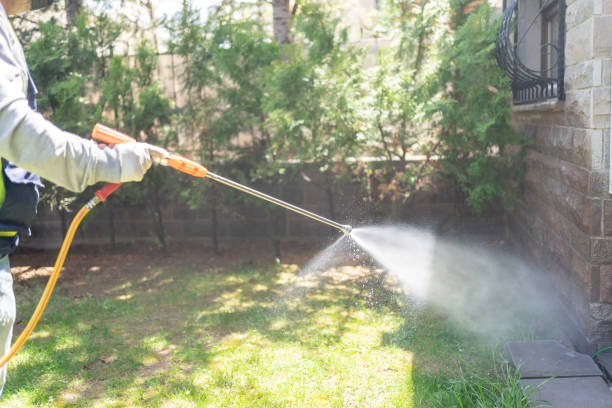 Best Termite Control Services  in Kensington, MD