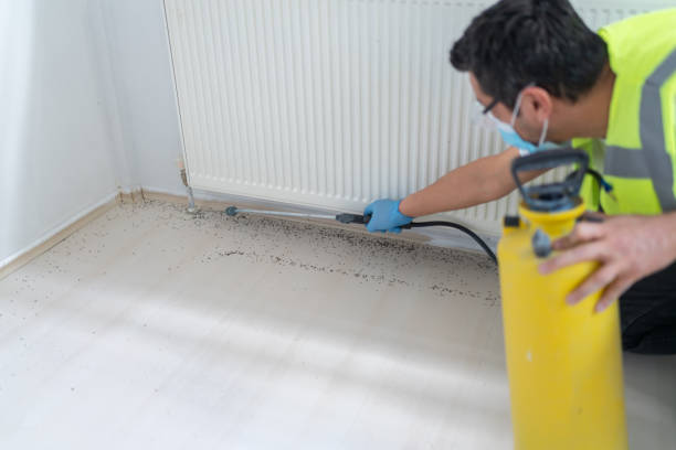 Best Bed Bug Extermination  in Kensington, MD